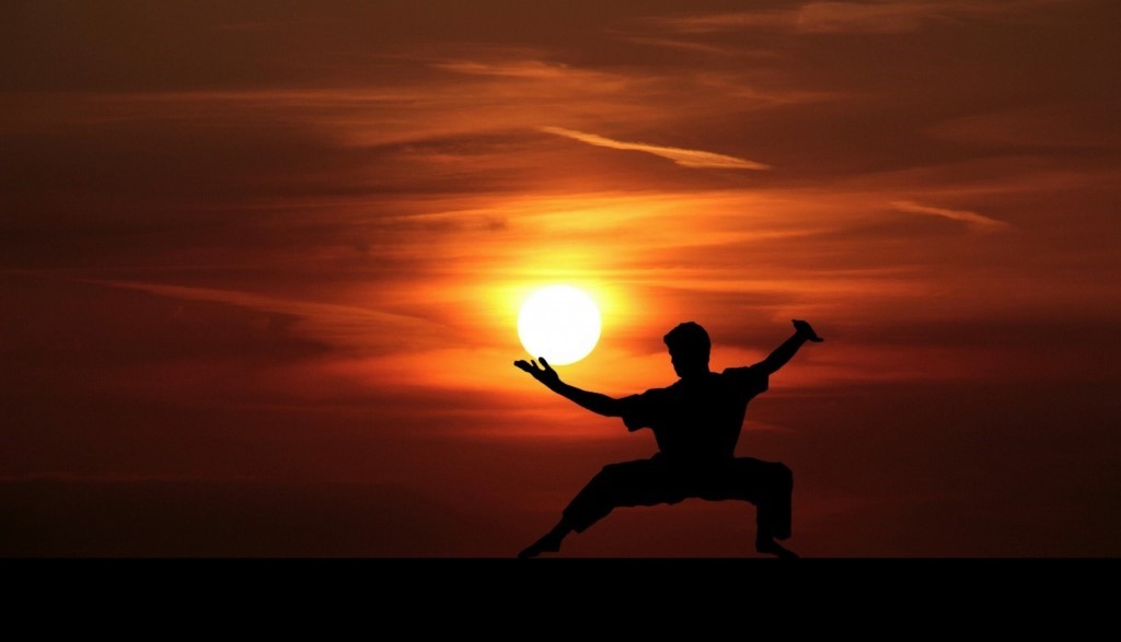Kung Fu,master ,silhouette Free Stock Photo - Public Domain Pictures